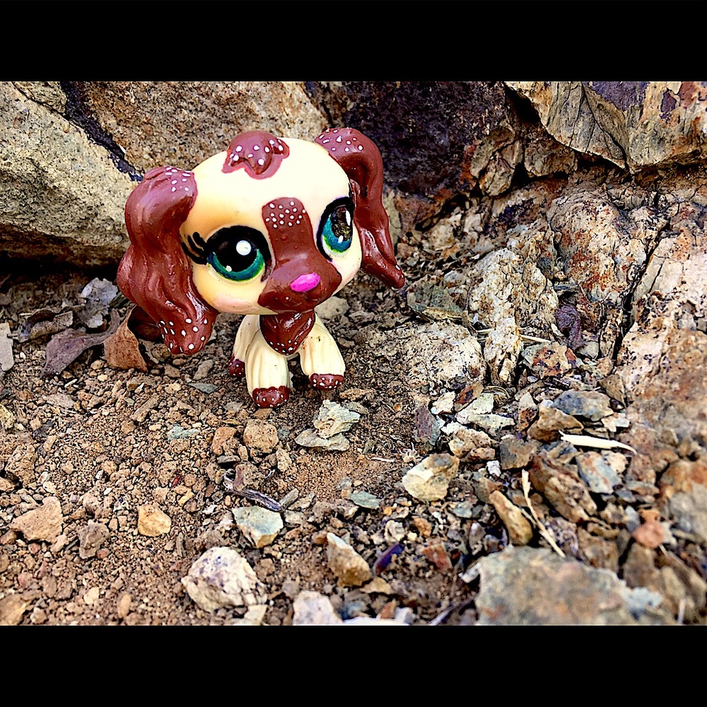 Lps Custom Cocker Spaniel - Picture 1 of 5